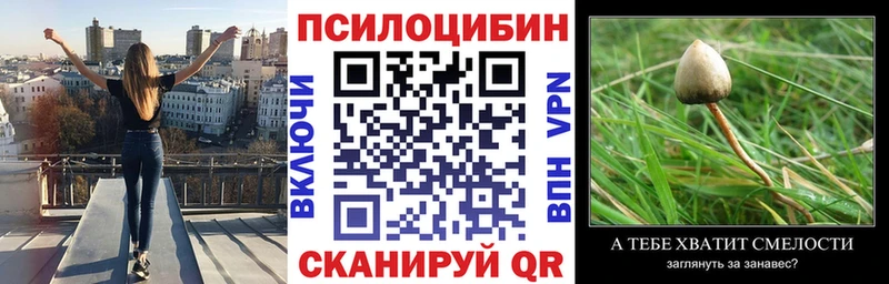 блэк спрут ONION Балашов Псилоцибиновые грибы GOLDEN TEACHER