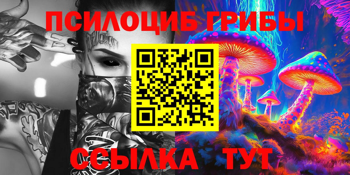 как найти   Галлюциногенные грибы прущие грибы  Вход с VPN  Балашов 