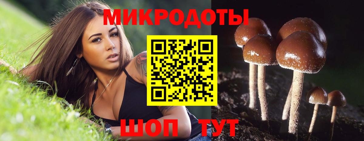 Псилоцибиновые грибы мухоморы Балашов