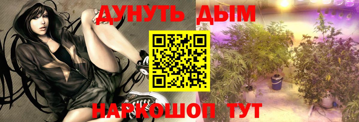 Шишки марихуана ГИДРОПОН Балашов